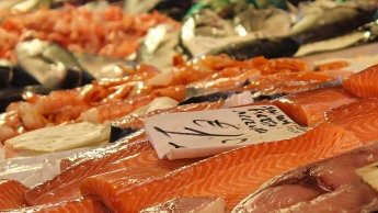 Il Pesce a Stoccarda