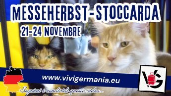 MesseHerbst Stuttgart