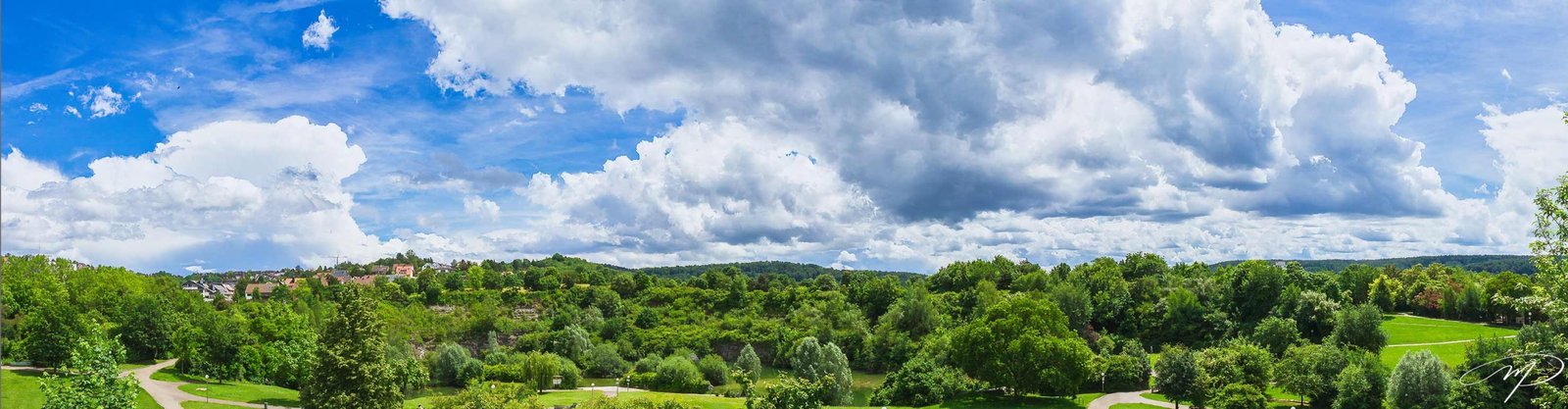 Maurizio Palese foto