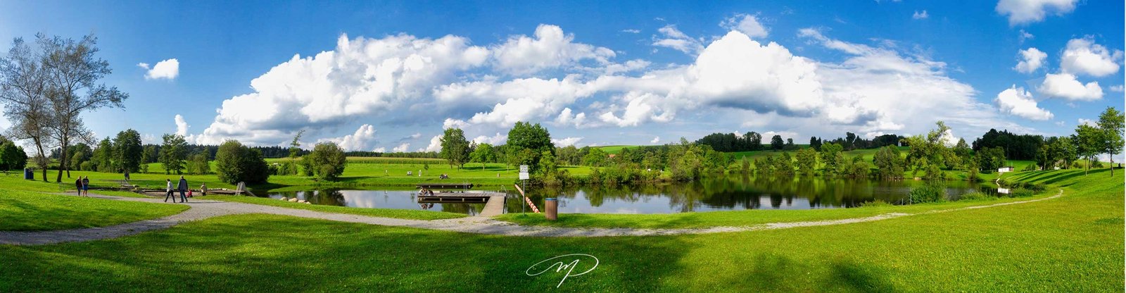 Maurizio Palese Media