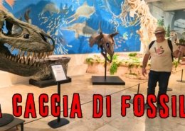 Cava dei fossili di Holzmaden e le cascate di Neidlinger