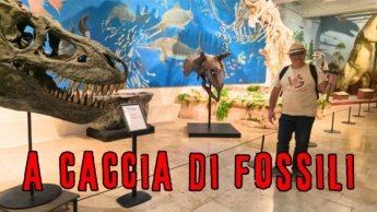 Cava dei fossili di Holzmaden e le cascate di Neidlinger